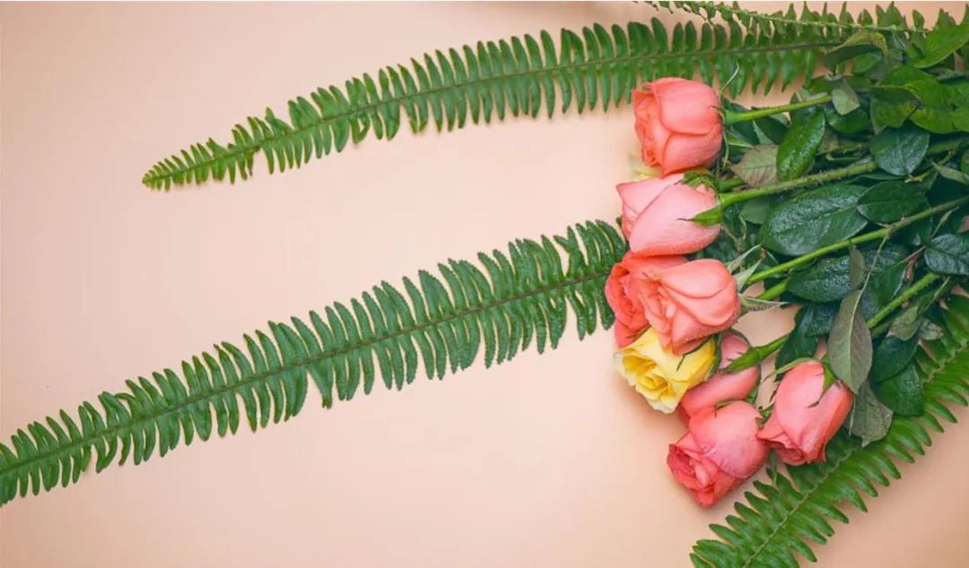 20220816\893dd76c35a3decdac30d749cf44a744.jpg D:\SOFT_PHP_PACKAGE\phptmp\php1F1B.tmp